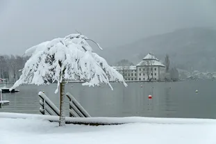 JavaScript 中 JSON.stringify 的二八法则