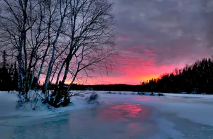 CSS 自定义属性及其用法