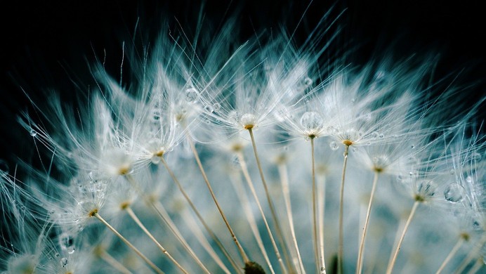 相对索引 `at` 方法