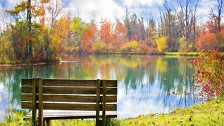 如何与 async/await 一起使用 Fetch