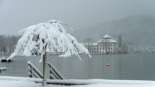 JavaScript 中 JSON.stringify 的二八法则