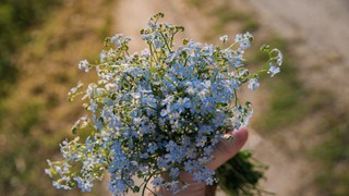 String.prototype.replaceAll