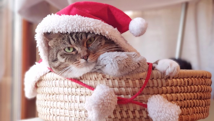 ECMAScript 提案:JSON modules